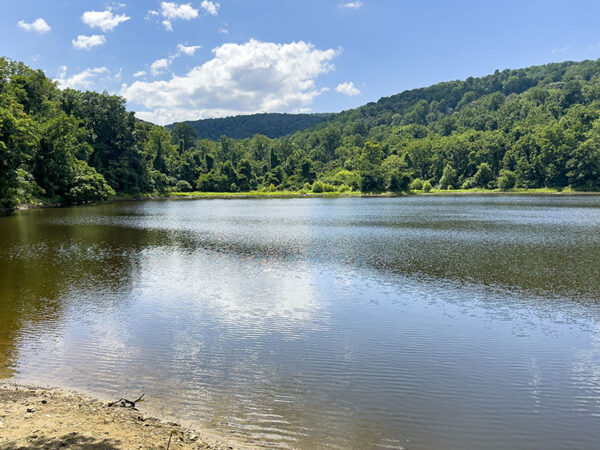 Ang Thompson Lake ay umaakit ng mga tutubi, paru-paro, at waterfowl. Credit ng Larawan: Lisa Mease
