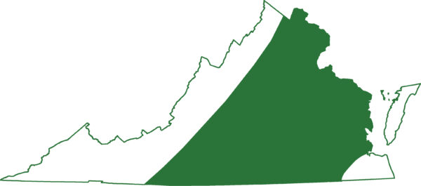 Isang hanay na mapa ng Tree-lined salamander na matatagpuan sa halos lahat ng Virginia