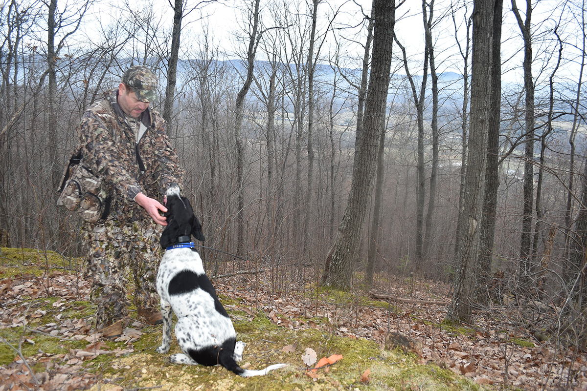 Nakaupo si Bailey sa paanan ng kanyang may-ari habang sinasabi niya sa kanya na "kunin muli ang mga ito" pagkatapos mabigo ang unang scatter