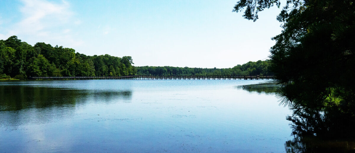 Ang tanawin sa Newport News Park.