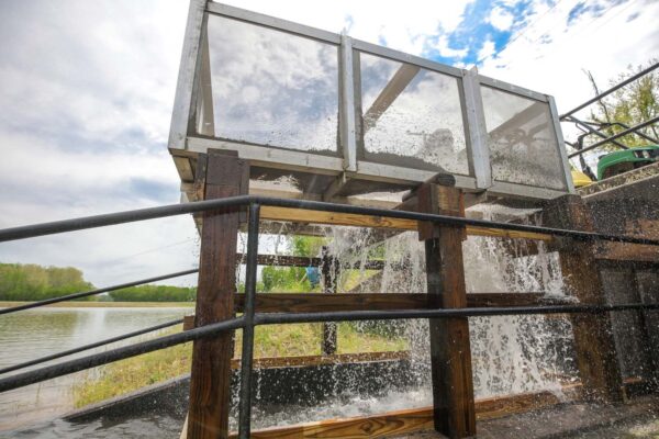 Hatchery system na nagdadala ng mga isda sa mga pool.