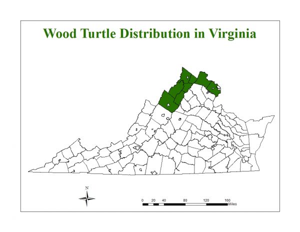 Mapa ng wood turtle distribution range