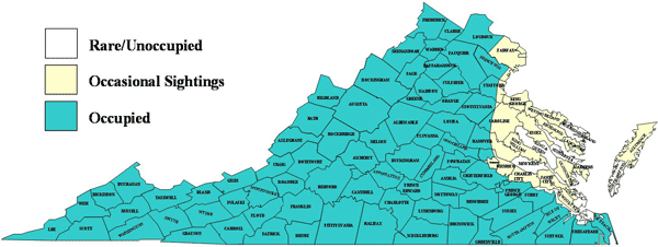 Mapa ng hanay ng itim na oso sa Virginia