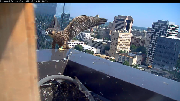 Juvenile na nakatingin sa gilid ng gusali pagkalabas lamang ng panulat.