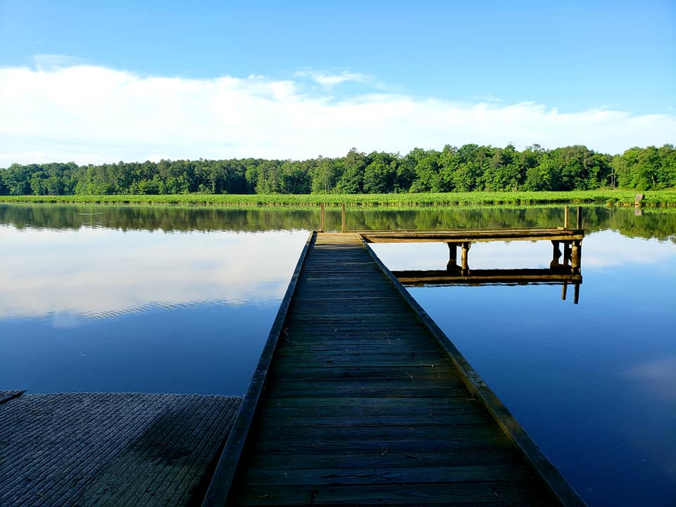 Isang larawan ng fishing dock sa Chickahominy WMA
