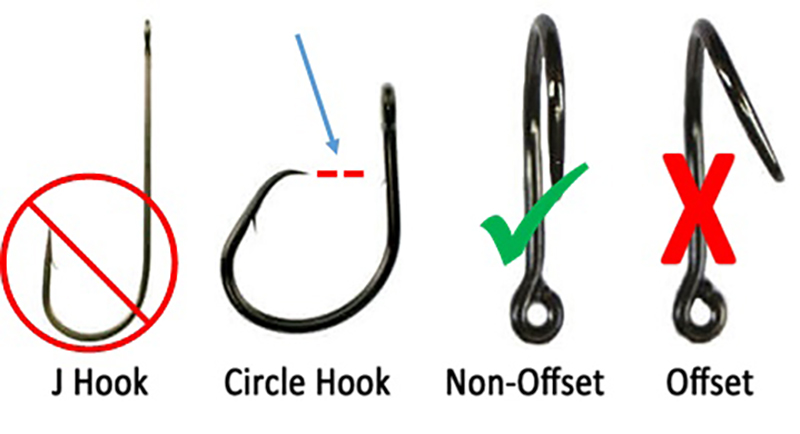 Isang larawang naglalarawan kung paano ang isang non-offset na circle hook ay ang pinakamahusay na hook upang makahuli ng striped bass