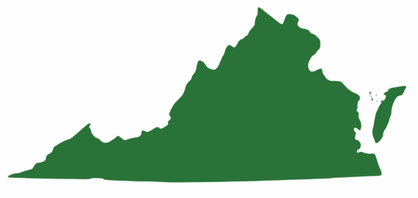 Ang eastern snapping turtle ay matatagpuan sa buong estado ng Virginia