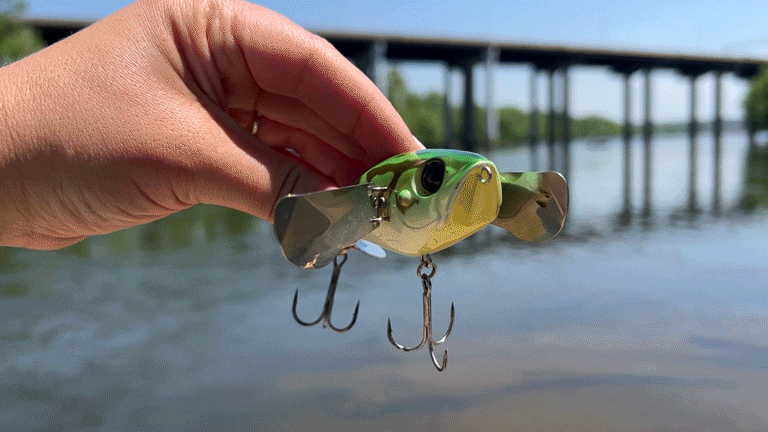 Isang maikling video ng isang taong may hawak na epektibong topwater crawler