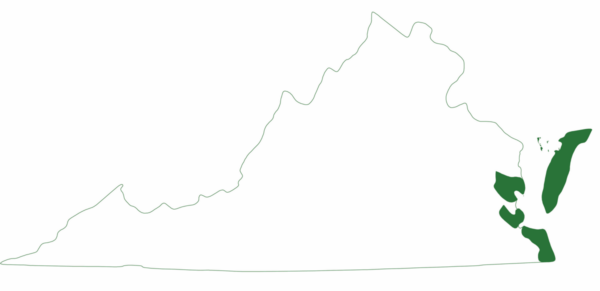 Ang leatherback sea turtle ay matatagpuan lamang sa mga piling rehiyon ng silangang baybayin ng Virginia.