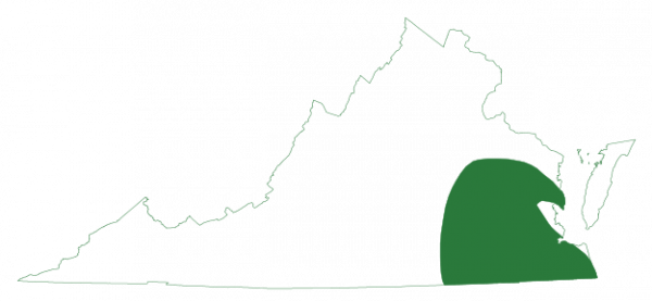 Ang pine woods treefrog ay matatagpuan sa timog-silangang rehiyon ng Virginia sa loob ng coastal plain