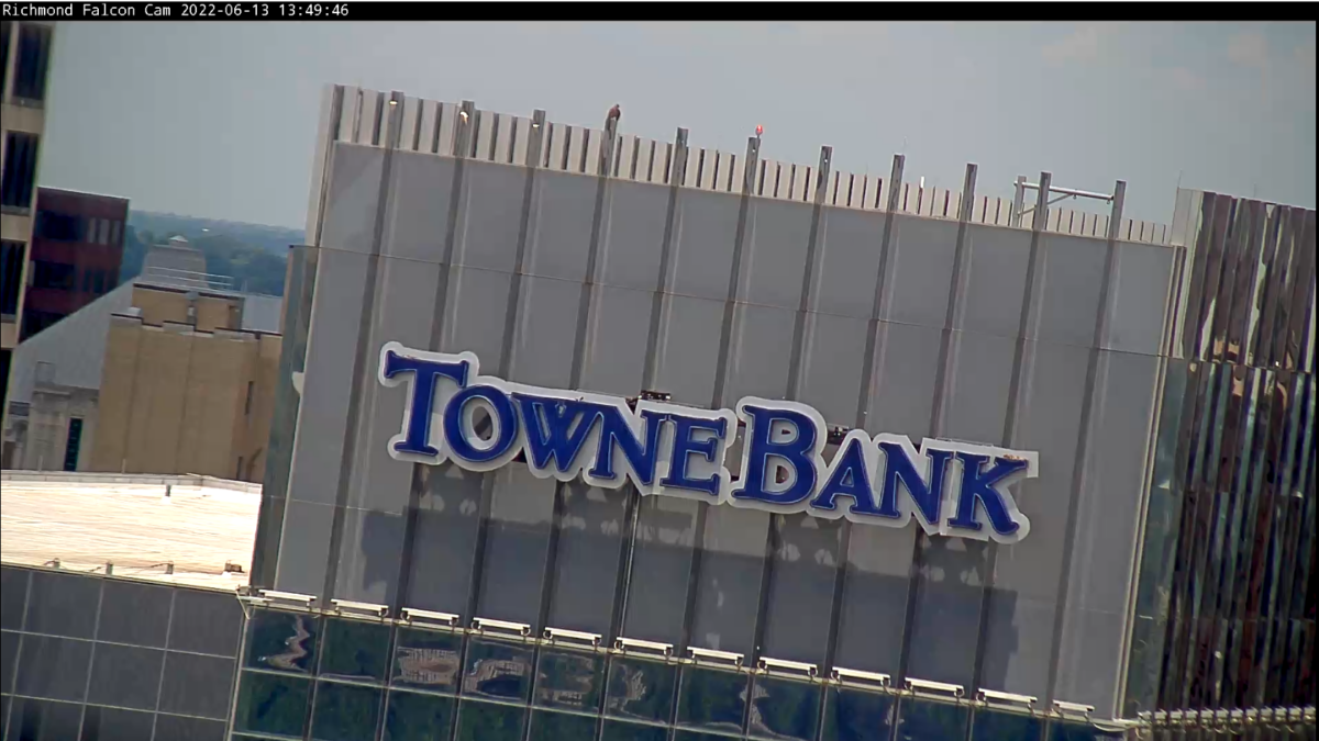Parehong lokasyon ni Red sa ibabaw ng Towne Bank na nakikita mula sa livestream ng camera.
