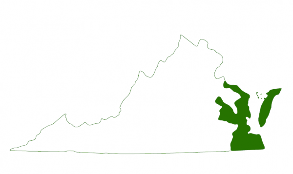 Ang Northern diamond backed terrapin ay matatagpuan sa southern coasts ng Virginia at sa barrier islands