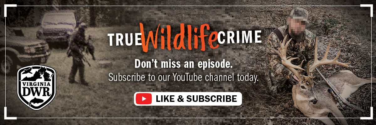 Huwag palampasin ang isang episode ng True Wildlife Crime! Mag-subscribe sa aming channel sa YouTube ngayon.