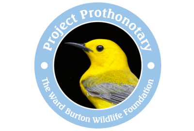 I-click upang buksan ang link sa Ward Burton Wildlife foundation